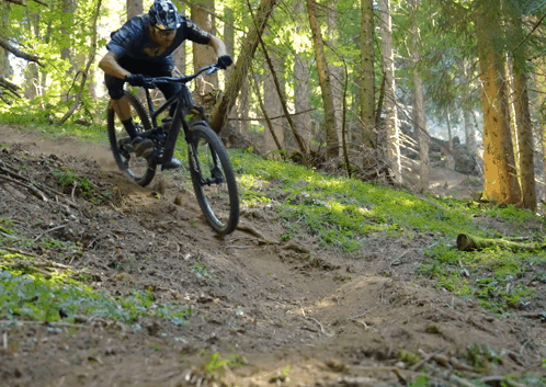 A Man Wearing A Helmet Is Riding A Bike Down A Trail In The Woods GIF