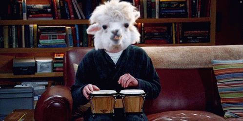 A Man Wearing A Llama Mask Is Playing Bongos GIF