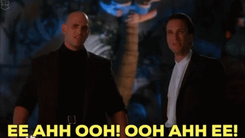 a man wearing a mask and a cowboy hat says ee ahh ooh ooh ahh ee