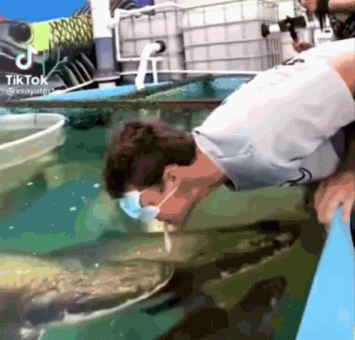 A Man Wearing A Mask Is Looking At A Fish In A Tank With A Tiktok Watermark GIF