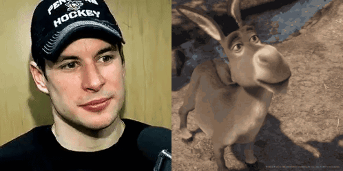 A Man Wearing A Pennsylvania Hockey Hat Is Next To A Donkey GIF