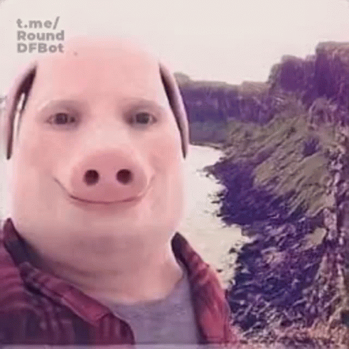 A Man Wearing A Pig Mask Is Taking A Selfie . GIF