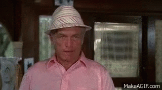 A Man Wearing A Pink Shirt And A Hat Is Looking At The Camera . GIF