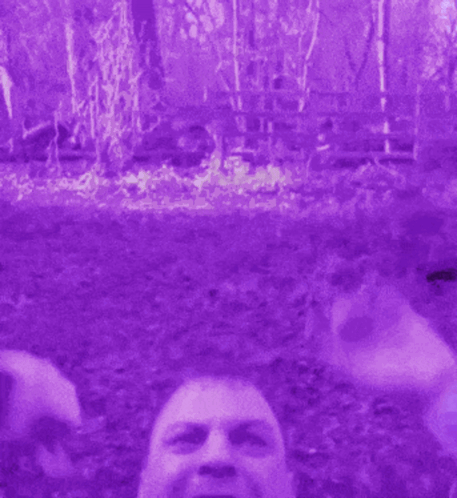 A Man Wearing A Purple And Yellow Vest With A Tie GIF