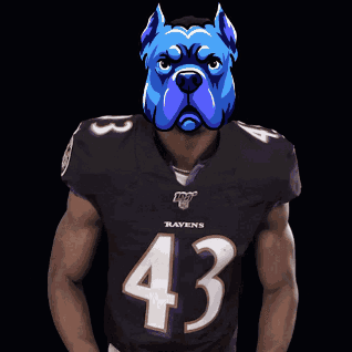 A Man Wearing A Ravens Jersey With A Blue Dog Mask On His Head GIF