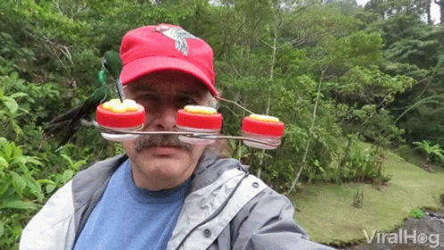 A Man Wearing A Red Hat Has A Bird Feeder Attached To His Head GIF