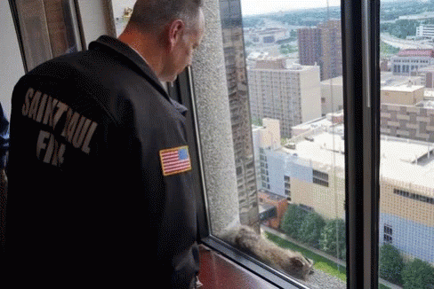 A Man Wearing A Saint Paul Fire Jacket Looks Out A Window GIF