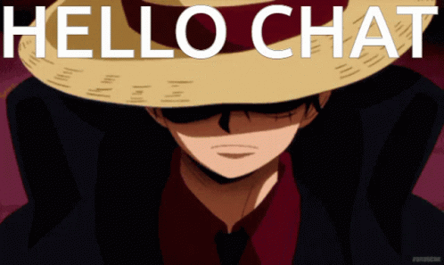 A Man Wearing A Straw Hat With The Words Hello Chat Above Him GIF