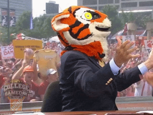 A Man Wearing A Tiger Mask Stands In Front Of A Sign That Says " I Love Bam " GIF