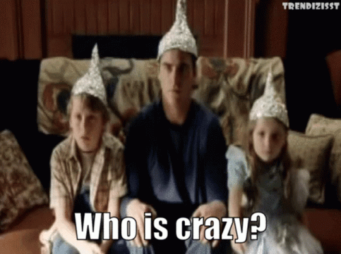 A Man Wearing A Tin Foil Hat Is Sitting On A Couch With Two Children And Says " Who Is Crazy " GIF