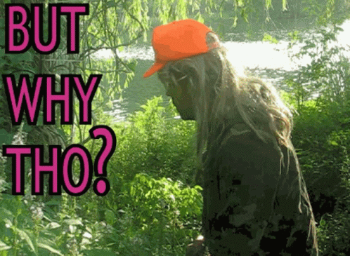A Man Wearing An Orange Hat Is Standing In The Woods With The Words But Why Tho On The Bottom GIF