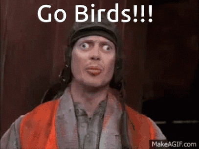 A Man Wearing An Orange Vest And A Hat Is Saying Go Birds GIF