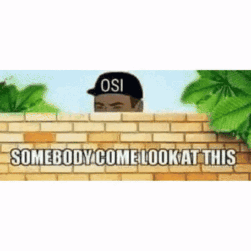 Man Wearing OSI Hat Peeking Over Brick Wall Says Somebody Come Look GIF