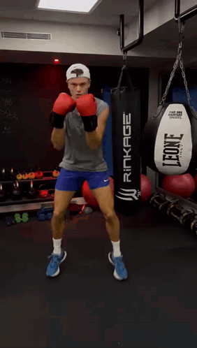 A Man Wearing Boxing Gloves And A Leone Punching Bag GIF