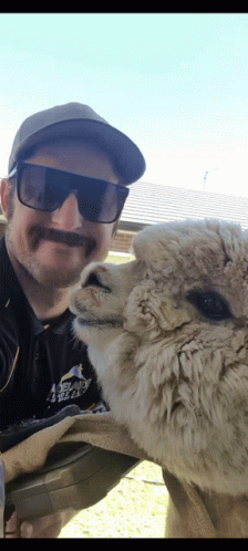 A Man Wearing Sunglasses And A Hat Is Standing Next To A Sheep GIF
