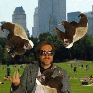 Man With Sunglasses Holding Flying Squirrels GIF