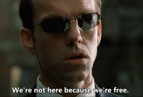 A Man Wearing Sunglasses Is Saying " We 'Re Not Here Because We 'Re Free " GIF