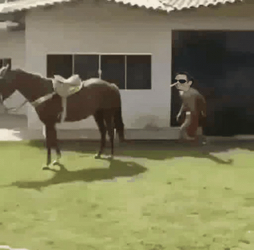 A Man Wearing Sunglasses Is Standing Next To A Horse In Front Of A House . GIF