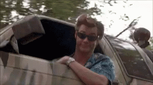 A Man Wearing Sunglasses Is Sticking His Head Out Of A Car Window . GIF