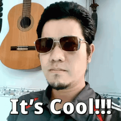 A Man Wearing Sunglasses Says " It 'S Cool " In Front Of A Guitar GIF