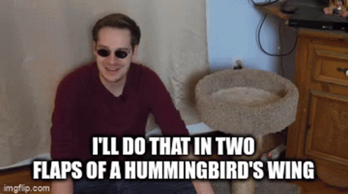 A Man Wearing Sunglasses Sits In Front Of A Cat Bed With The Caption I 'Ll Do That GIF