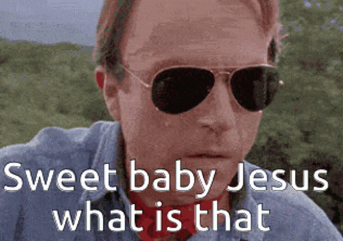 A Man Wearing Sunglasses With The Words Sweet Baby Jesus What Is That Written Below Him GIF