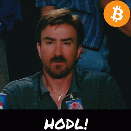A Man With A Beard And A Name Tag That Says " Hodl " GIF