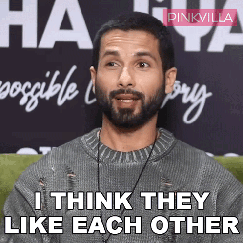 A Man With A Beard And A Sweater Says I Think They Like Each Other GIF