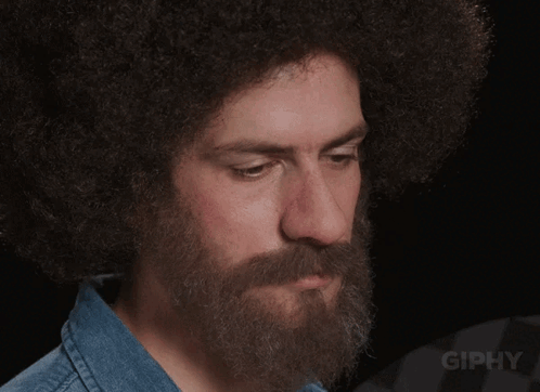 A Man With A Beard And An Afro Looks At The Camera With The Word Giphy Below Him GIF