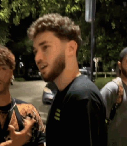 A Man With A Beard And Curly Hair Is Standing In Front Of A Stop Sign . GIF