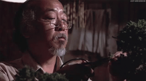 A Man With A Beard And Glasses Is Holding A Pair Of Scissors . GIF