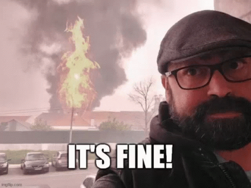A Man With A Beard And Glasses Is Taking A Selfie With A Fire In The Background And The Caption It 'S Fine GIF