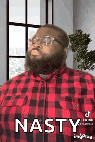 A Man With A Beard And Glasses Is Wearing A Red Plaid Shirt And Saying Nasty . GIF