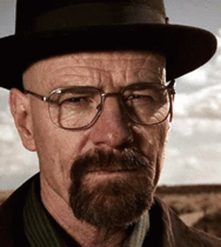 A Man With A Beard And Glasses Wearing A Hat GIF