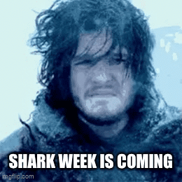A Man With A Beard And Long Hair Is Crying In The Snow . GIF