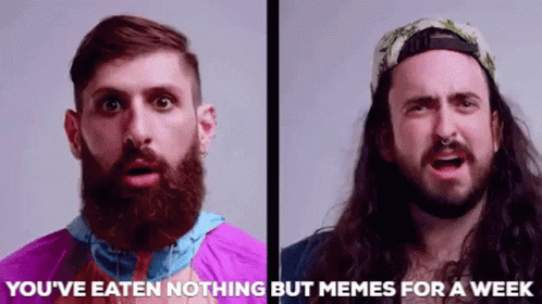 A Man With A Beard And Long Hair Is Eating Nothing But Memes For A Week GIF