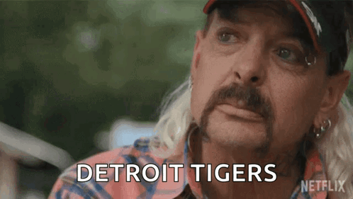 A Man With A Beard And Mustache Is Wearing A Plaid Shirt And Hat And Says Detroit Tigers . GIF