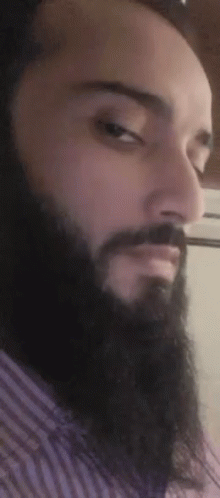 A Man With A Beard And Mustache Is Wearing A Striped Shirt And Looking At The Camera . GIF