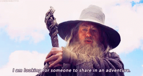 A Man With A Beard Holds A Cane And Says I Am Looking For Someone To Share In An Adventure GIF