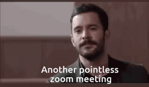 A Man With A Beard Is Having A Zoom Meeting With Another Pointless Zoom Meeting . GIF