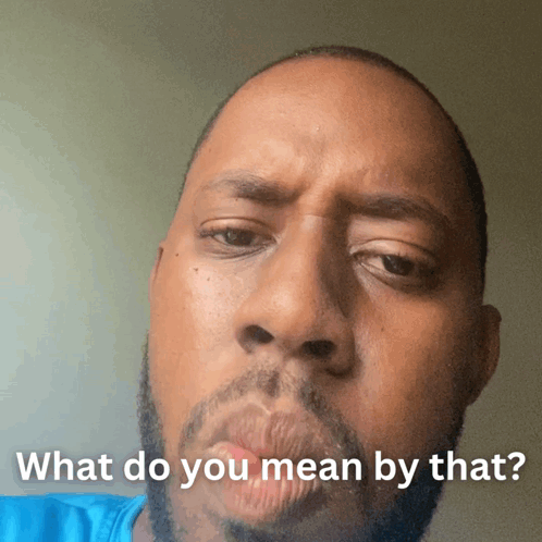 A Man With A Beard Is Making A Face With The Words What Do You Mean By That GIF