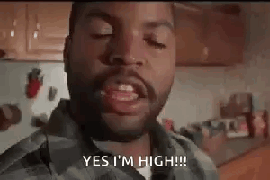 A Man With A Beard Is Making A Funny Face And Saying `` Yes I 'M High '' In A Kitchen . GIF