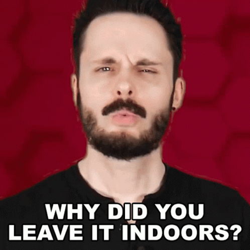 A Man With A Beard Is Making A Funny Face With The Words Why Did You Leave It Indoors GIF