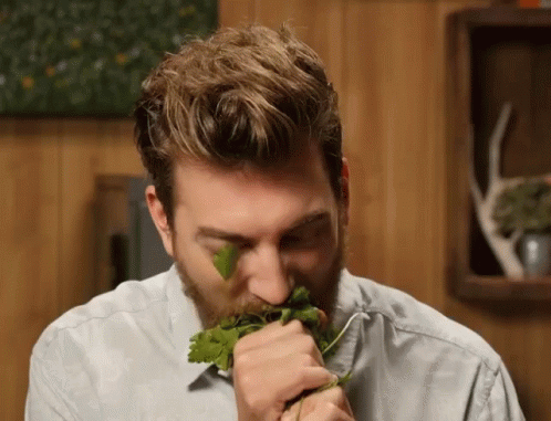 A Man With A Beard Is Smelling A Sprig Of Cilantro GIF