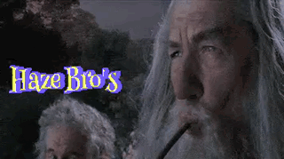 A Man With A Beard Is Smoking A Cigarette In Front Of A Haze Bro 'S Sign GIF