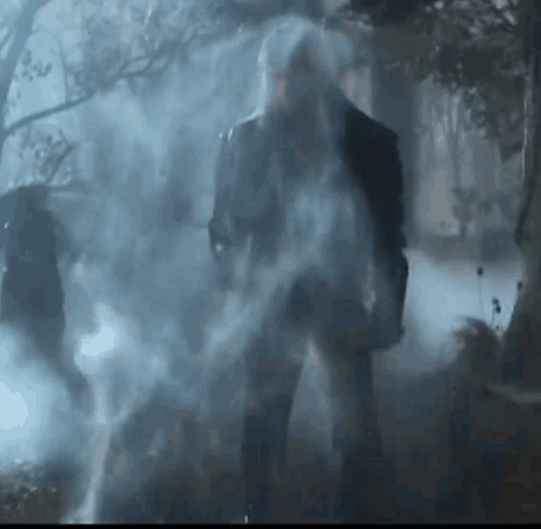 A Man With A Beard Is Standing In A Foggy Forest . GIF