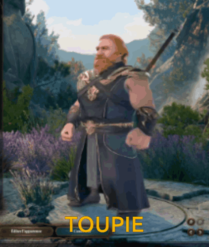 Bearded Man In Video Game Toupie Text GIF