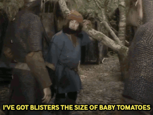 A Man With A Beard Is Standing In The Woods With The Words I 'Ve Got Blisters The Size Of Baby Tomatoes GIF