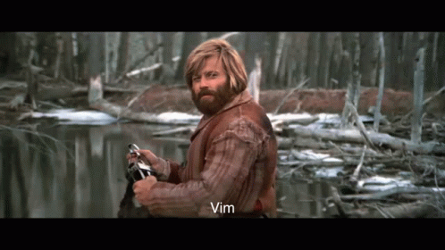 A Man With A Beard Is Standing Next To A River And The Word Vim Is On The Bottom Right GIF