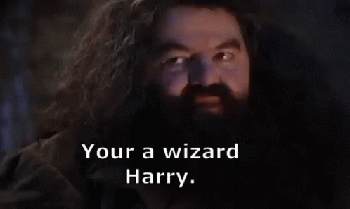 a man with a beard is talking to harry potter and says `` your a wizard harry '' .
